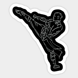 Chromatic Shaolin Sticker